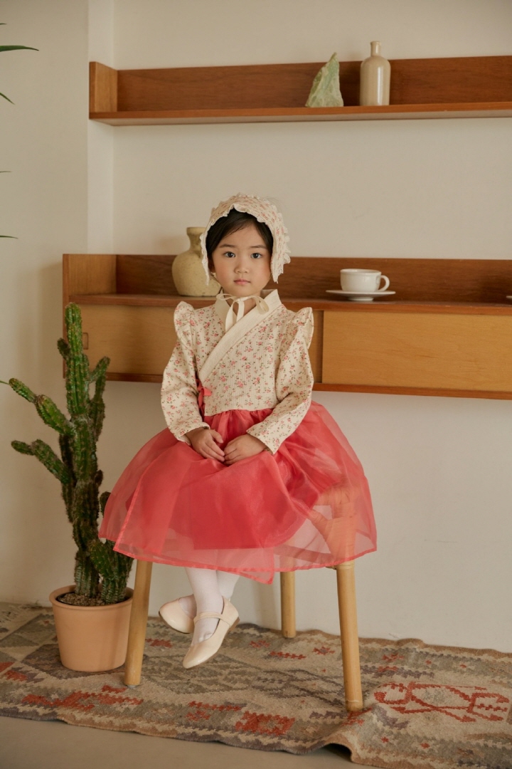 Bbb - Korean Baby Fashion - #onlinebabyboutique - Bebe Floral Girl Hanbok - 10