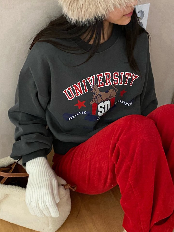 Diana - Korean Women Fashion - #womensfashion - Depart Sweatshirts - 11