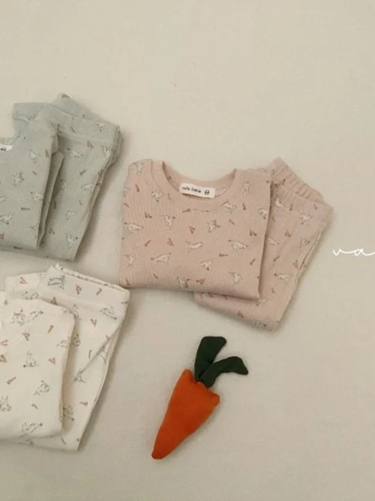 Bebe Rabbit Carrot Easywear Set